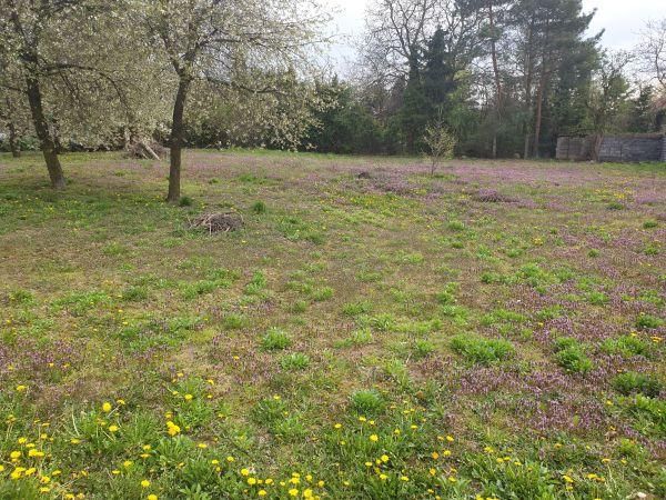 Działka budowlana Zamość, ul. Zakamarek. Zdjęcie 10