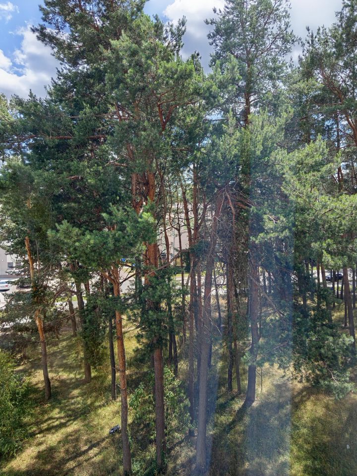 Mieszkanie 2-pokojowe Czarna Białostocka, ul. Henryka Sienkiewicza. Zdjęcie 4