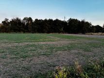 Działka rolna Tyniec Legnicki. Zdjęcie 3