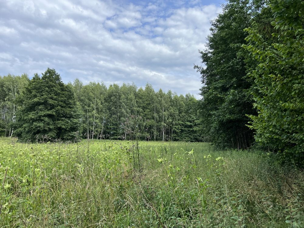 Działka rolna Henrykowo. Zdjęcie 7