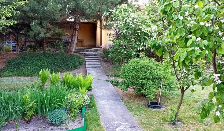 Działka rod Tomaszów Mazowiecki, ul. Krzywa