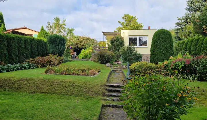 Działka rod Bożenkowo