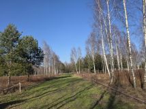 Działka budowlana Leontyna, ul. Dębowa. Zdjęcie 2