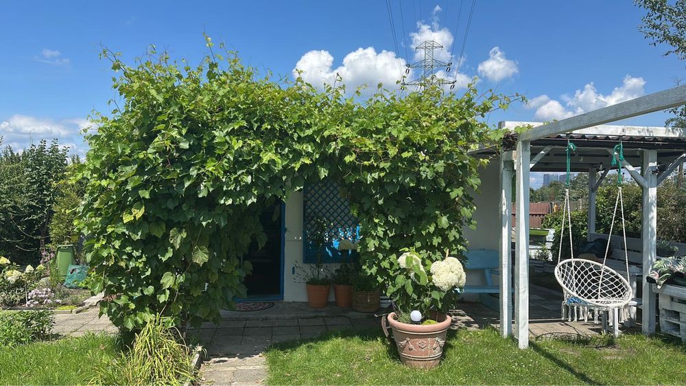 Działka rod Katowice Załęże. Zdjęcie 6