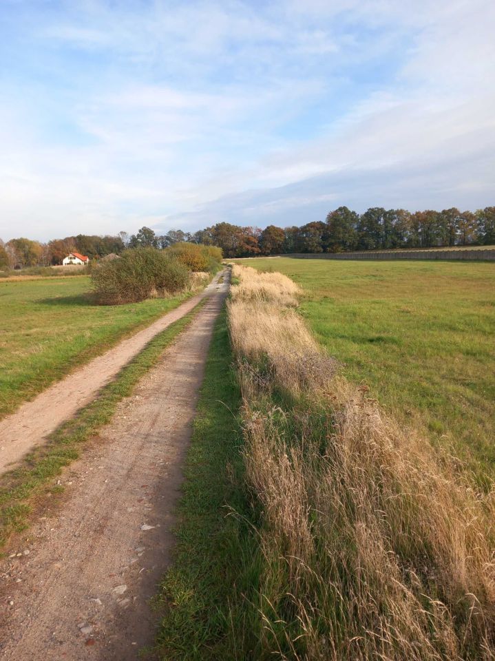 Działka budowlana Zabierzewo. Zdjęcie 6