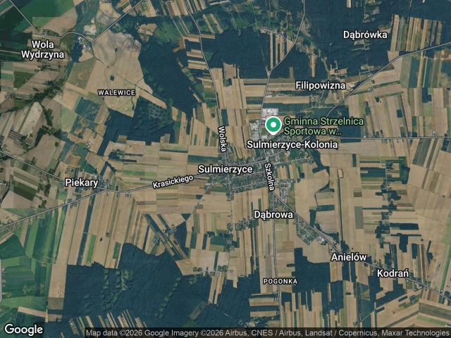 Działka leśna Sulmierzyce, las. Zdjęcie 1
