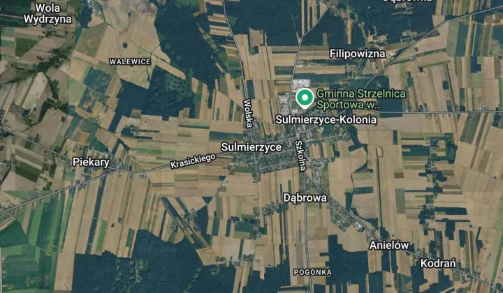Działka leśna Sulmierzyce, las