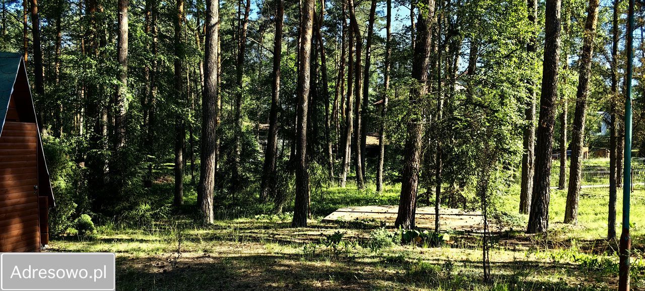 Działka budowlana Żarki-Letnisko. Zdjęcie 7