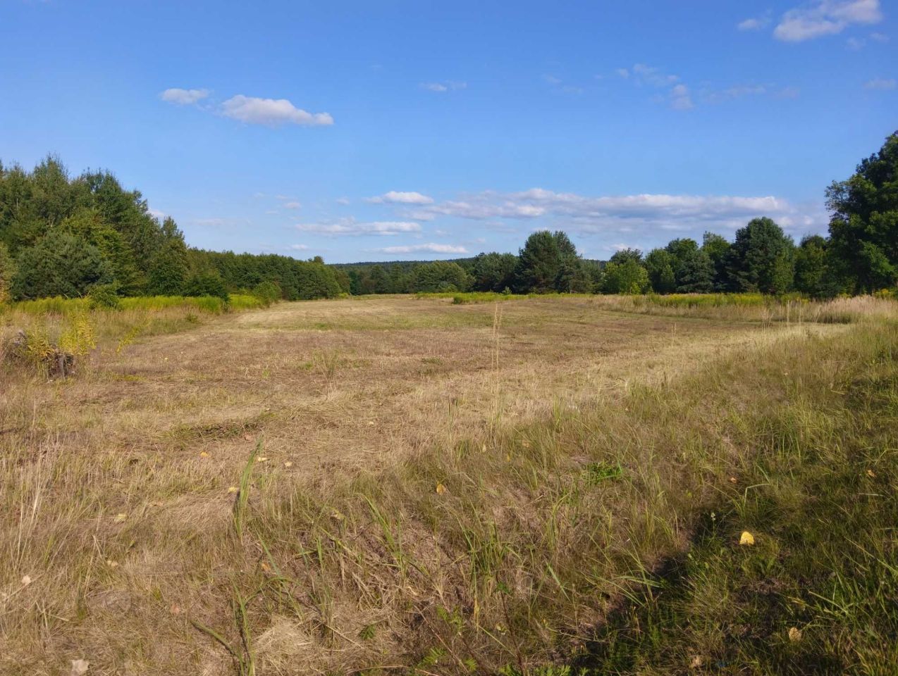 Działka budowlana Suków. Zdjęcie 3
