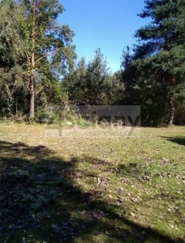 Działka budowlana Orzeszyn. Zdjęcie 2