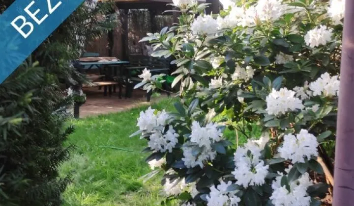 Działka rod Warszawa Białołęka, ul. Cieślewskich