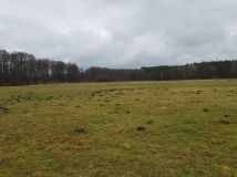 Działka inwestycyjna Wiesiółka. Zdjęcie 3