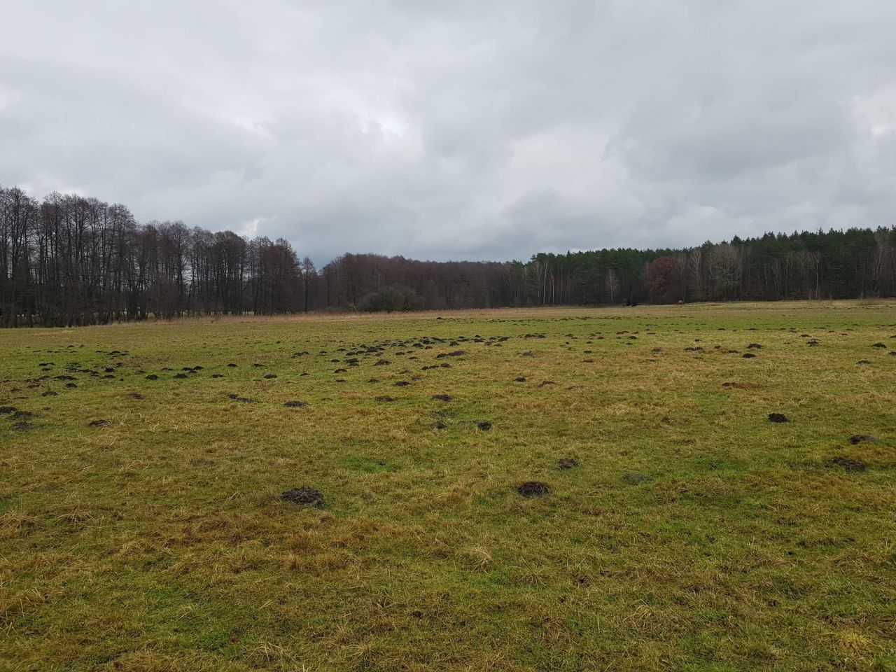 Działka inwestycyjna Wiesiółka. Zdjęcie 4