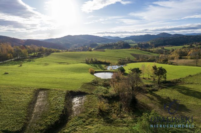 Działka inwestycyjna Kiełczawa. Zdjęcie 24