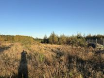 Działka budowlana Jabłonowo. Zdjęcie 4