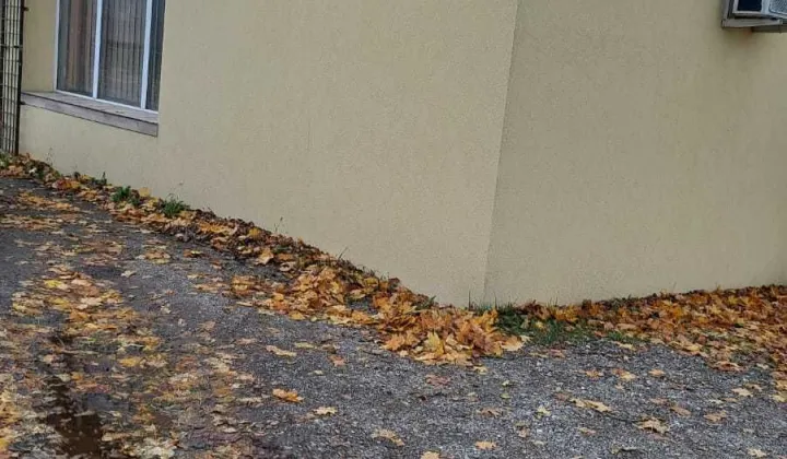 dom wolnostojący Bełczna