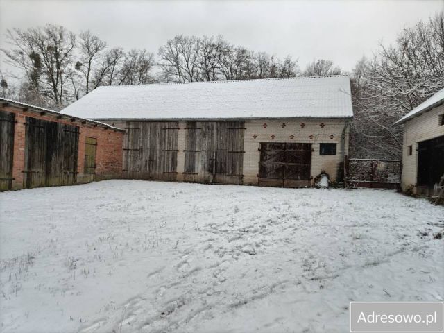 gospodarstwo Mochty-Smok. Zdjęcie 1