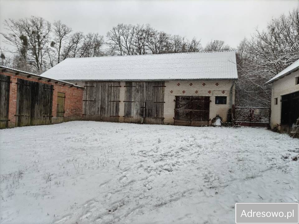 gospodarstwo Mochty-Smok