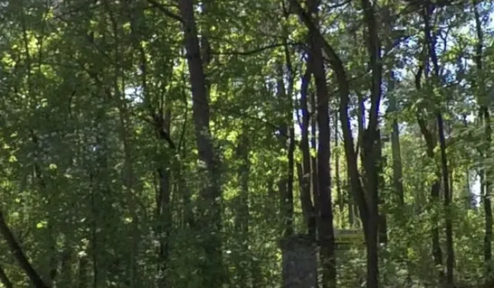 Działka budowlana Ostrów Mazowiecka, ul. Brokowska