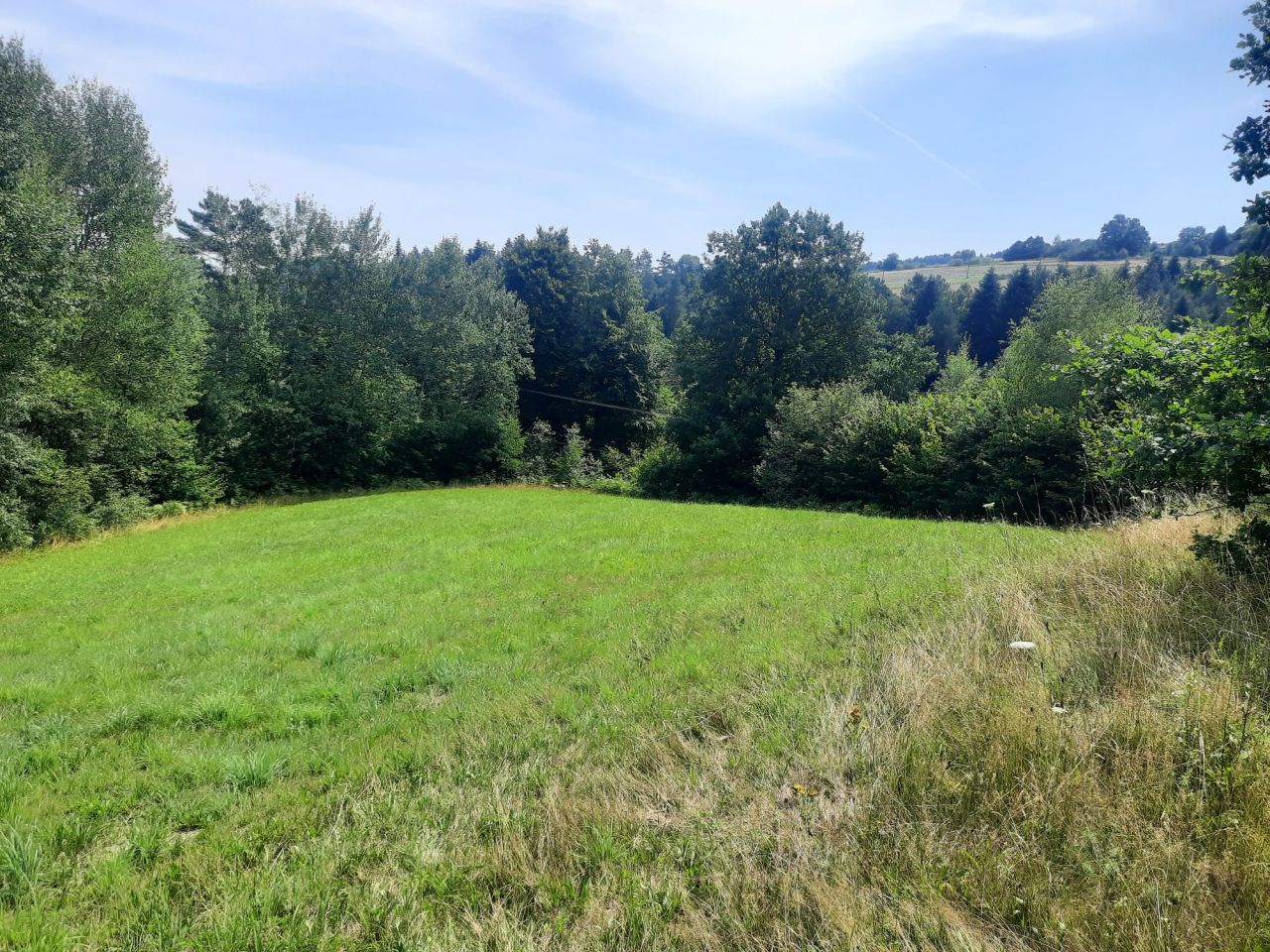 Działka rolno-budowlana Jastrzębia. Zdjęcie 7