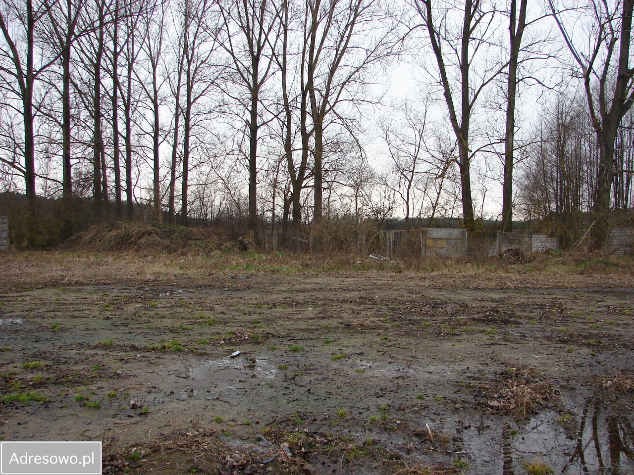 Hala/magazyn Łęki. Zdjęcie 8