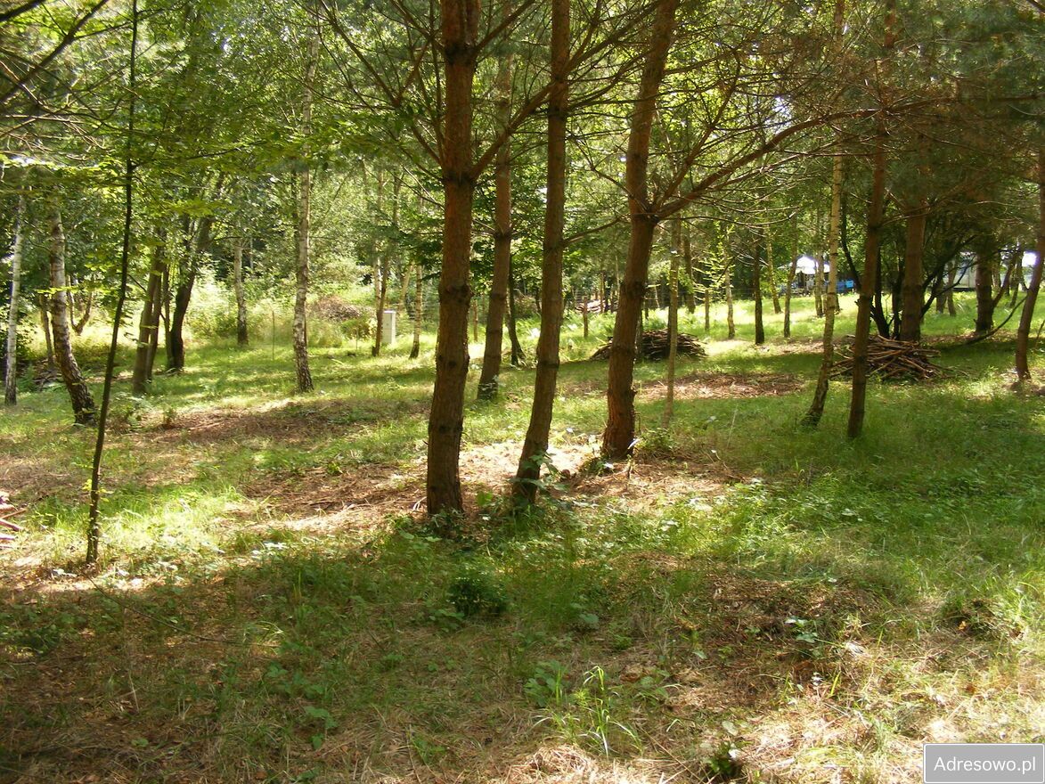 Działka rekreacyjna Chłopowo. Zdjęcie 4
