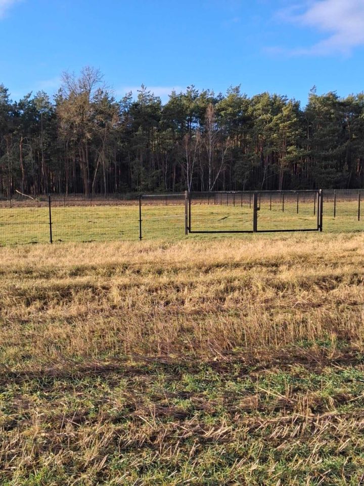 Działka budowlana Zosinki. Zdjęcie 4