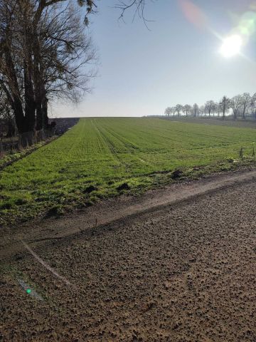 Działka rolno-budowlana Goszków. Zdjęcie 1