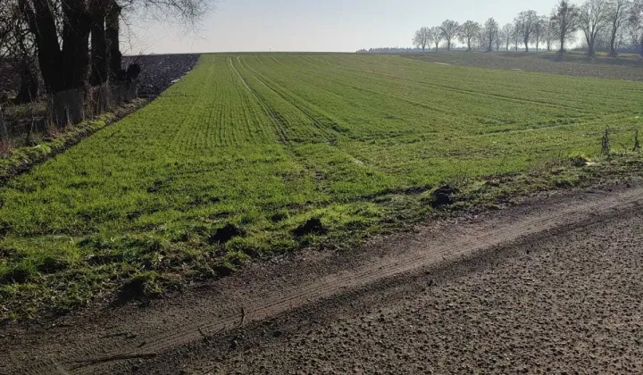 Działka rolno-budowlana Goszków