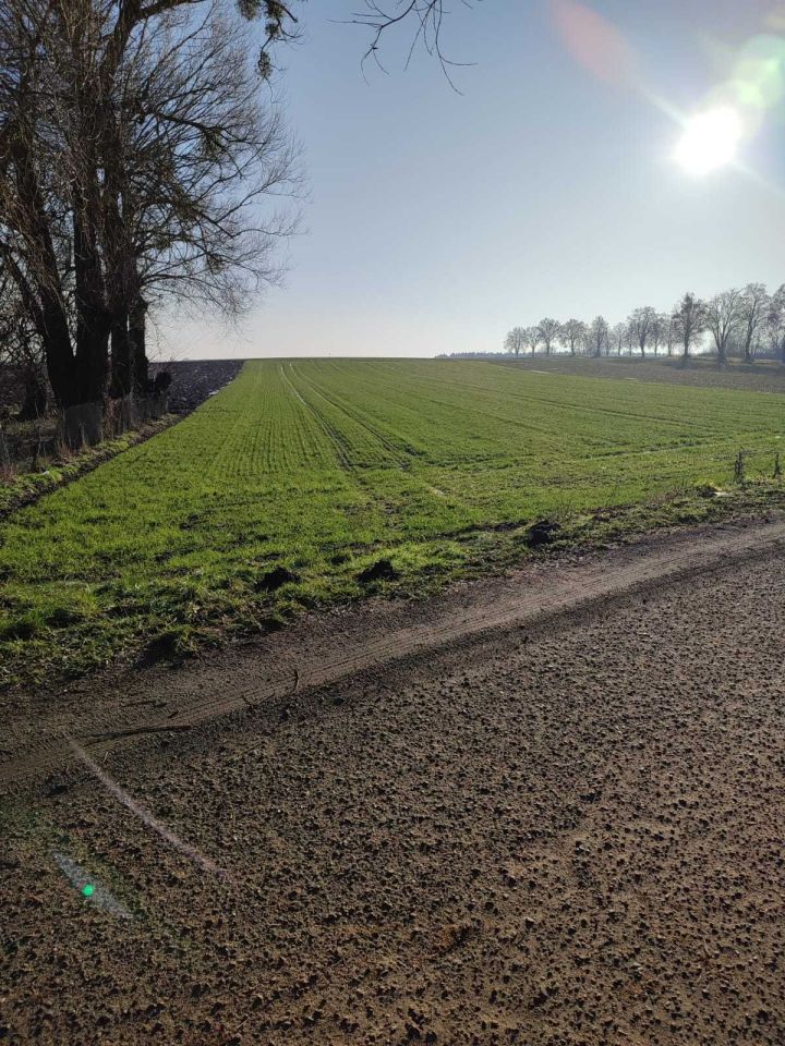 Działka rolno-budowlana Goszków