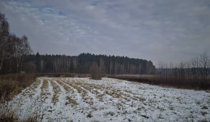 Działka budowlana Szczukowice