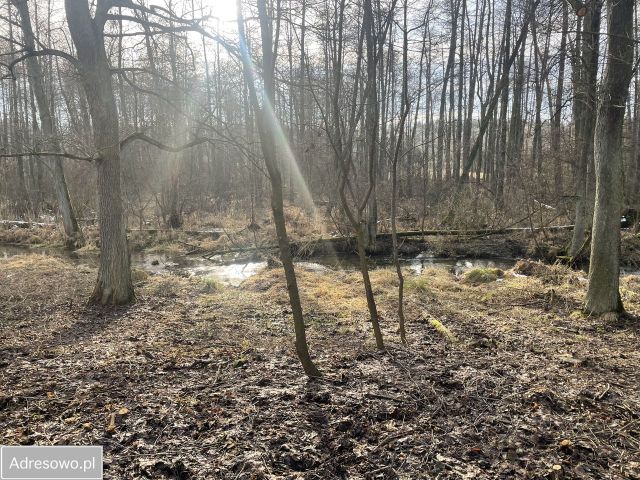 Działka budowlana Przykory. Zdjęcie 9