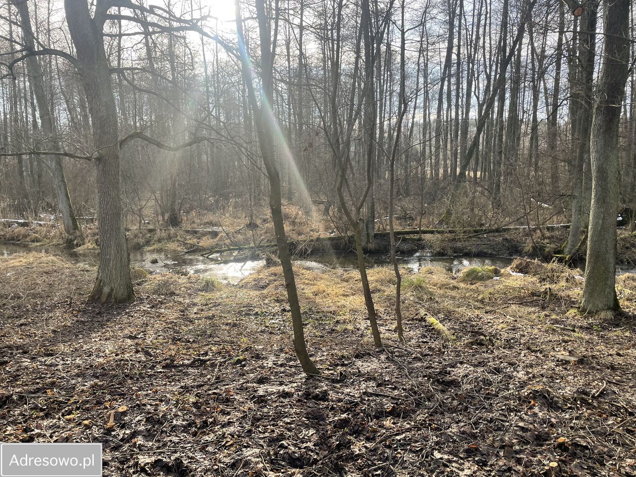 Działka budowlana Przykory. Zdjęcie 8