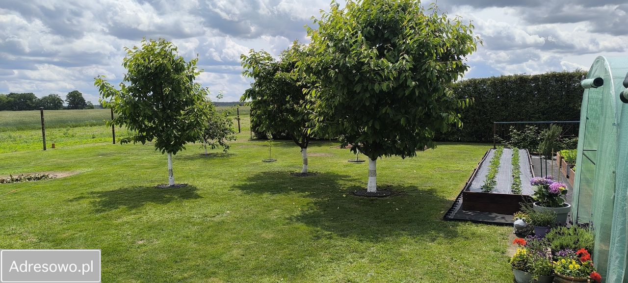 dom wolnostojący, 5 pokoi Borkowice. Zdjęcie 13