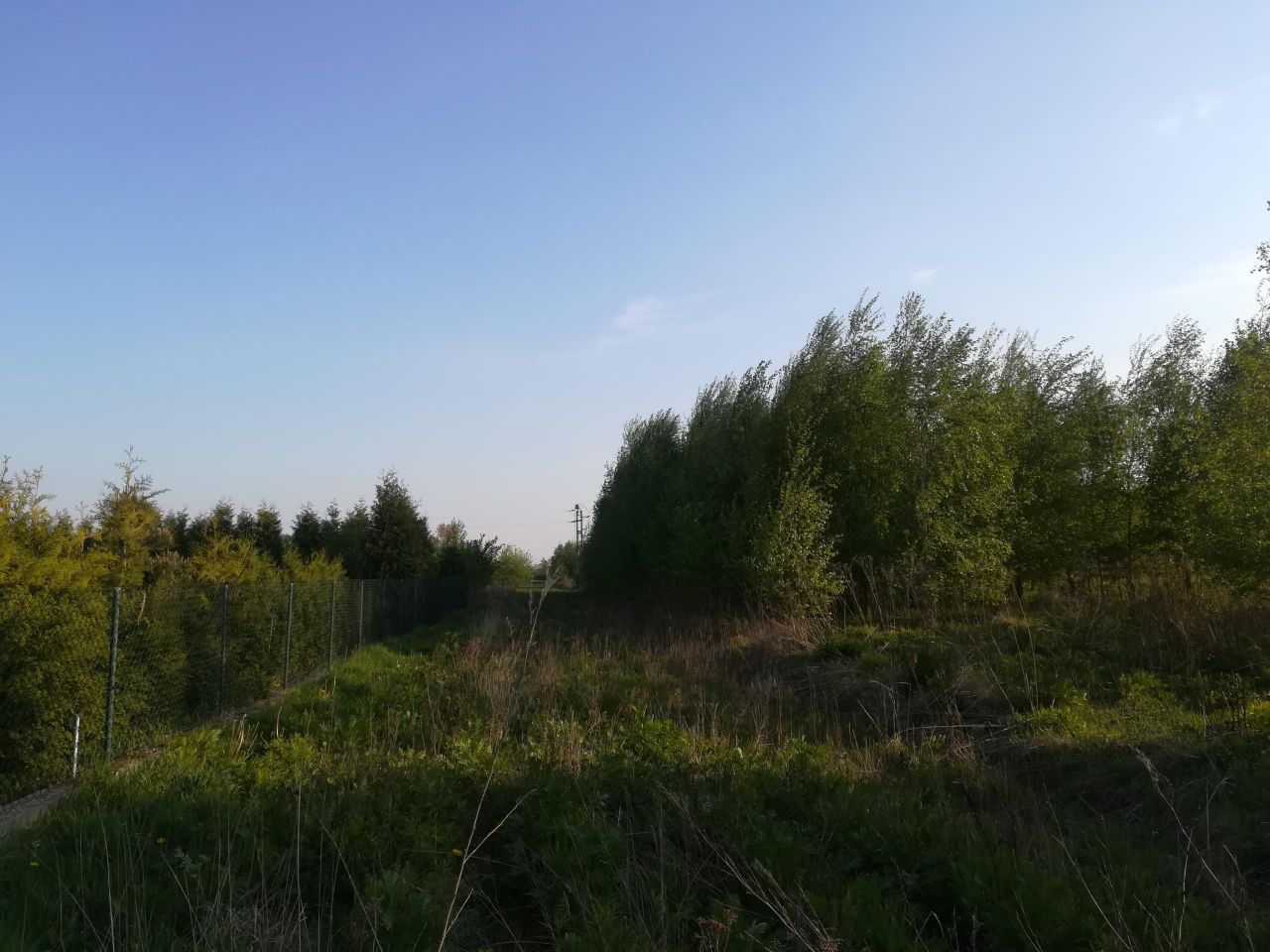 Działka budowlana Rąbień. Zdjęcie 5