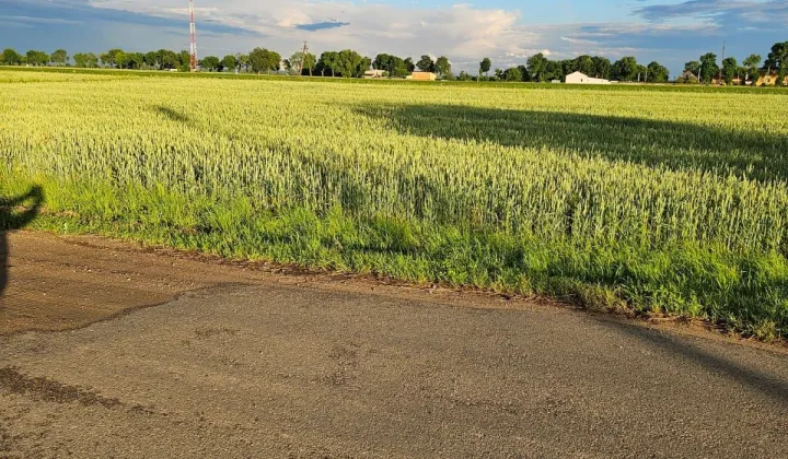 Działka budowlana Uniejów, ul. Rzeczna