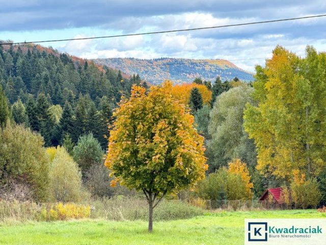 Działka budowlana Bratkówka. Zdjęcie 14