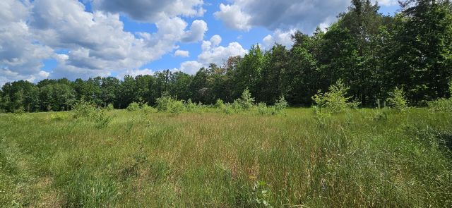 Działka budowlana Brzóza, ul. Długa. Zdjęcie 1