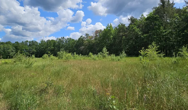 Działka budowlana Brzóza, ul. Długa