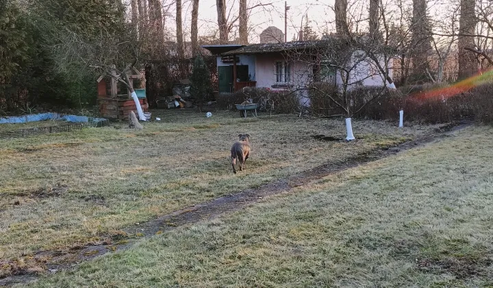 Działka rod Gliwice Sośnica, ul. Władysława Sikorskiego