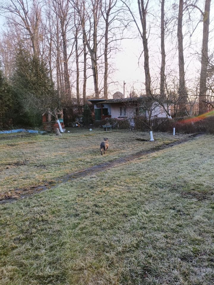 Działka rod Gliwice Sośnica, ul. Władysława Sikorskiego. Zdjęcie 1