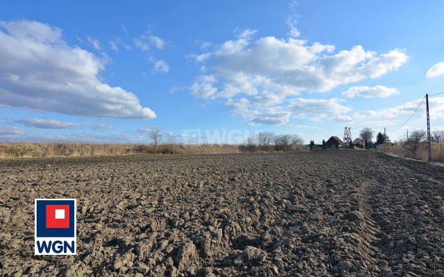 Działka rolna Nowakowo. Zdjęcie 9