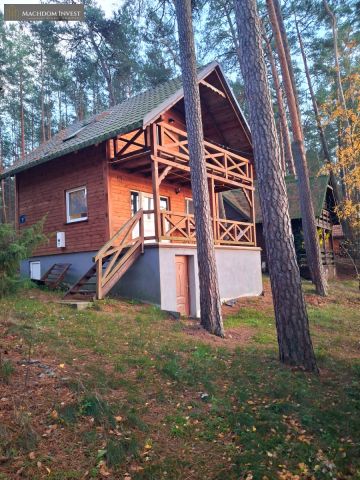 siedlisko, 4 pokoje Tereszewo. Zdjęcie 12