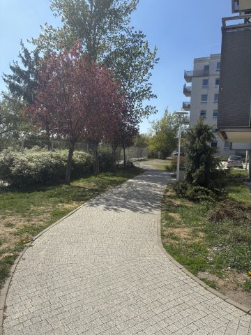 Mieszkanie 3-pokojowe Łódź Widzew, ul. Stanisława Przybyszewskiego. Zdjęcie 24