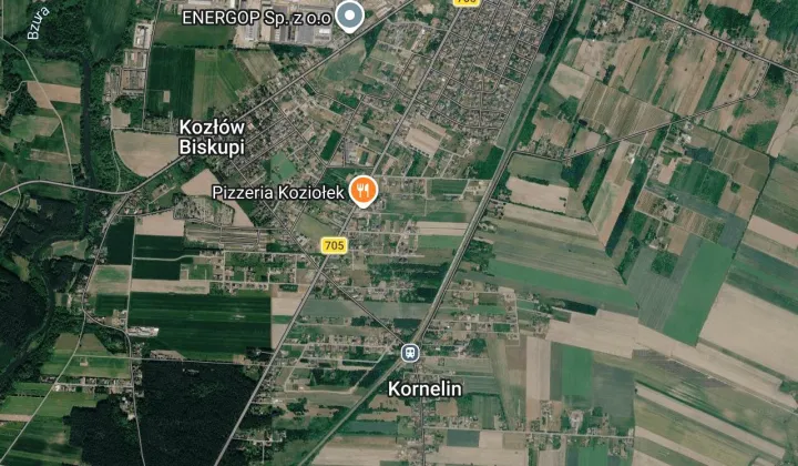 dom wolnostojący, 6 pokoi Kozłów Biskupi, ul. Działkowa
