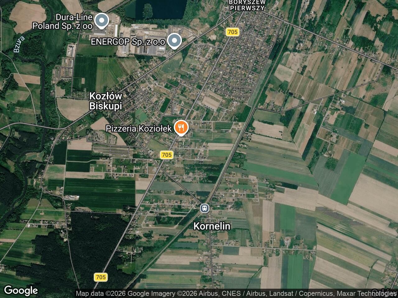 dom wolnostojący, 6 pokoi Kozłów Biskupi, ul. Działkowa. Zdjęcie 1