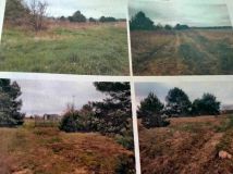 Działka inwestycyjna Pieńków. Zdjęcie 3