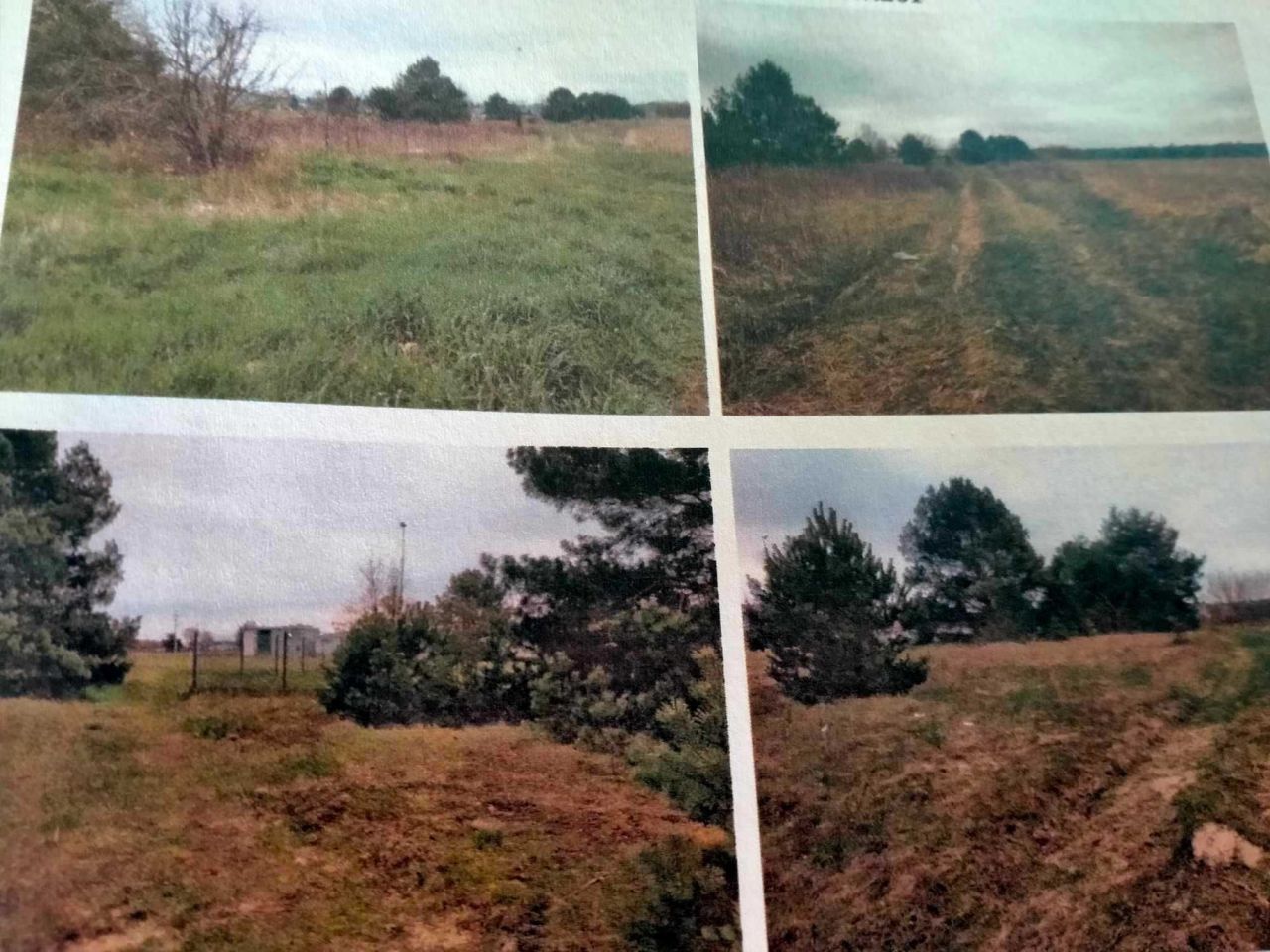 Działka inwestycyjna Pieńków. Zdjęcie 4