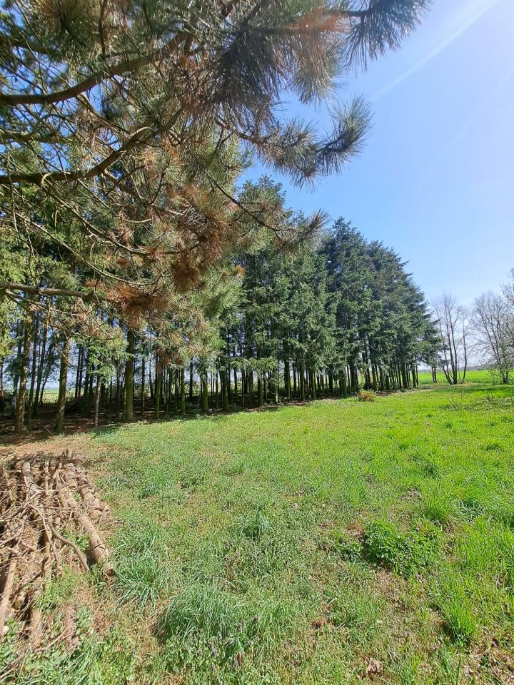 Działka budowlana Orątki Górne. Zdjęcie 4