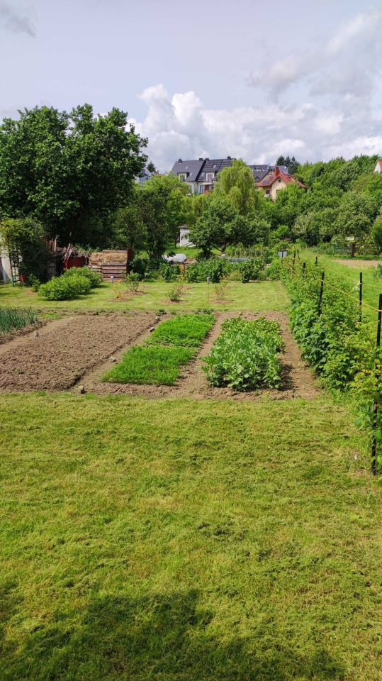 Działka rod Lublin. Zdjęcie 5